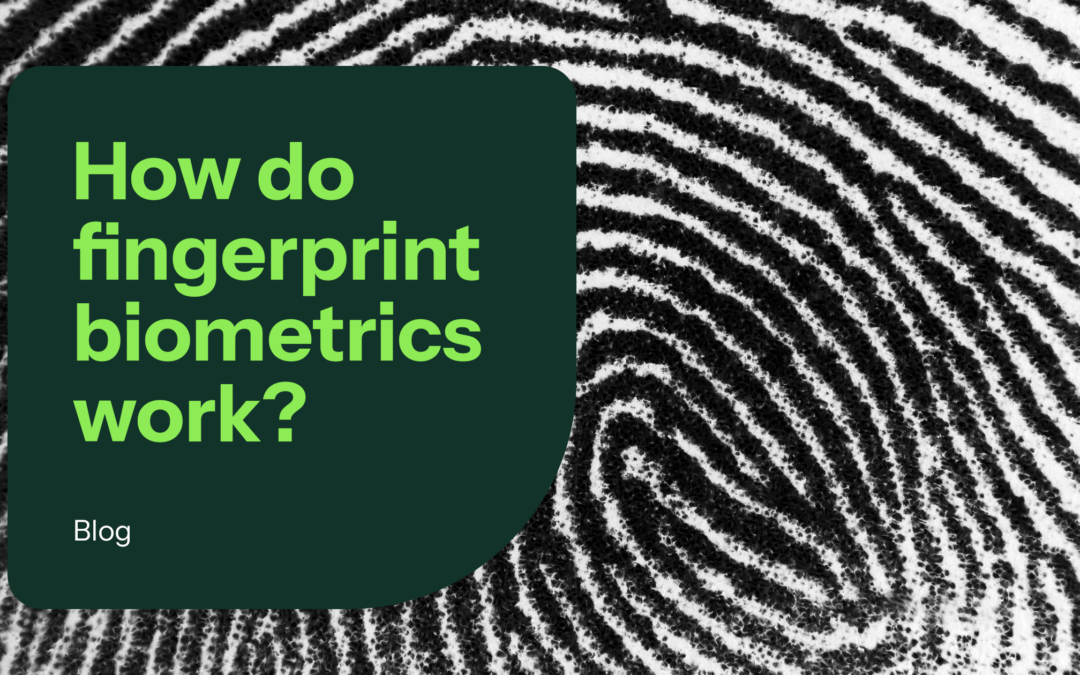 How Do Fingerprint Biometrics Work?